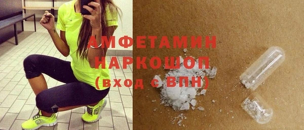 молекула духа Богданович