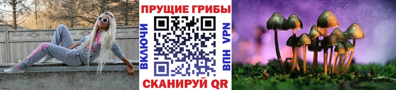 Псилоцибиновые грибы Magic Shrooms Кашира